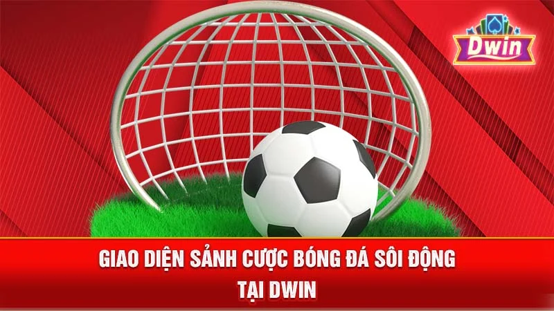 Giao diện sảnh cược bóng đá sôi động tại DWIN